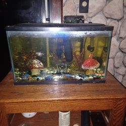 Glow Fish, Aquarium and All Accessories