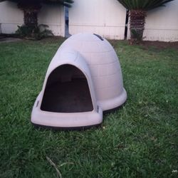 Dog House