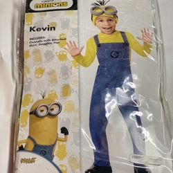 Minion Custom 2T