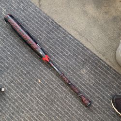 Easton Bat