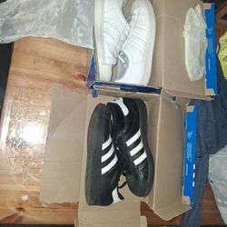 All Stars Adidas