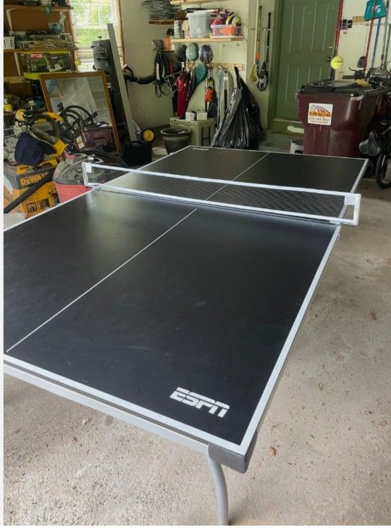 ESPN Ping Pong Table