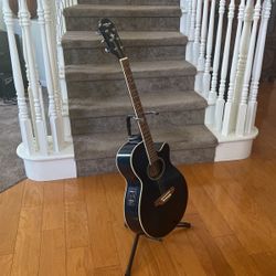 Aria Acoustic Electric-JAPAN