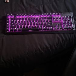 Razor Blackwidow Keyboard 