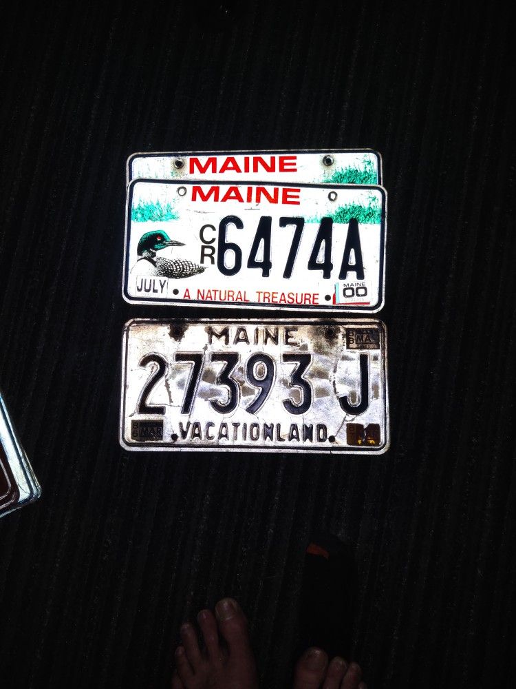 1 Set And 1 Vintage Maine Plate