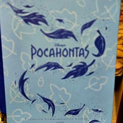 Vintage Disney Store Pocahontas 1995 Lithograph Print Exclusive Commemorative