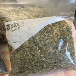 Moringa Leaves 