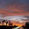 LA