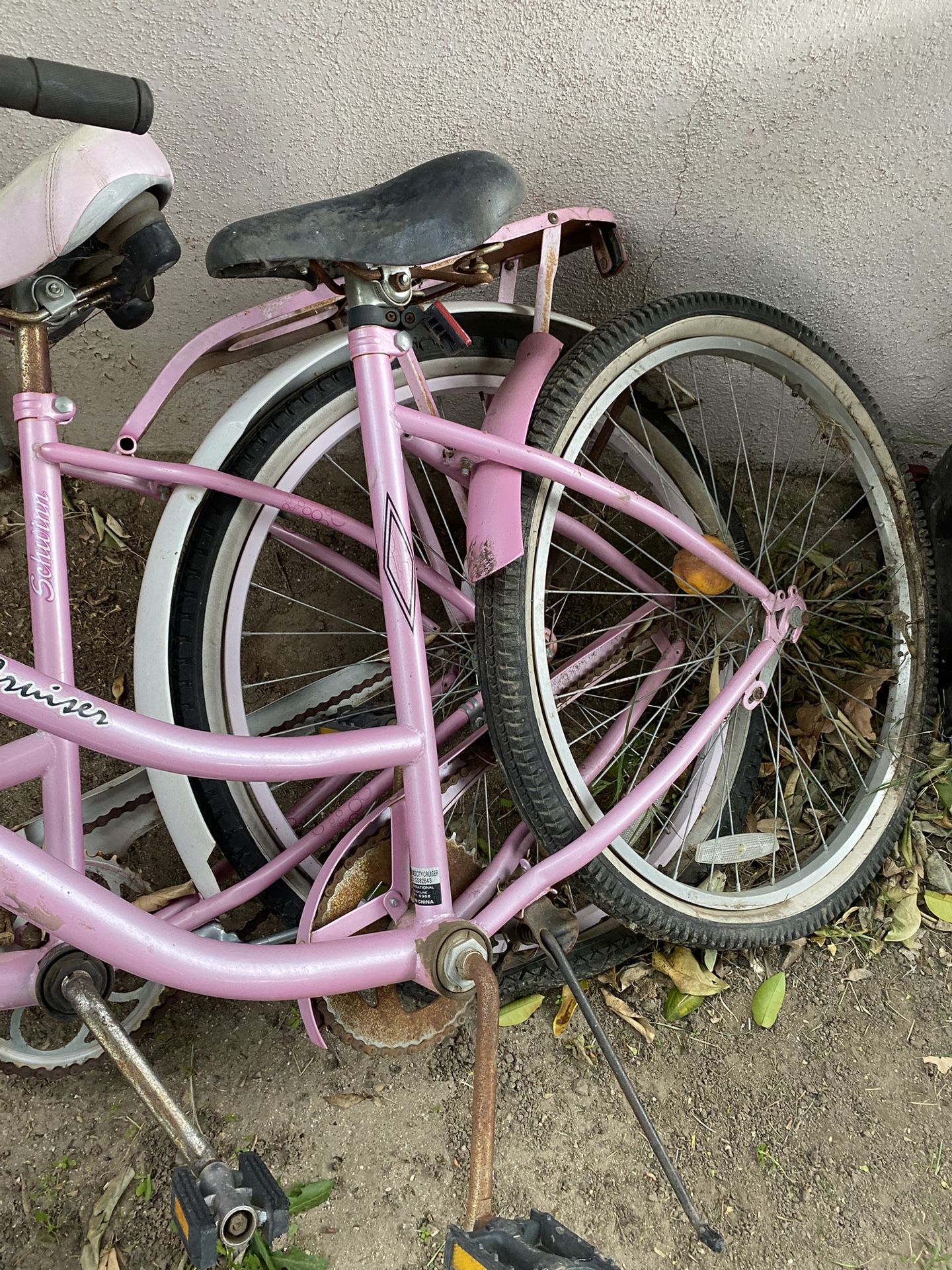 Beach Cruisers