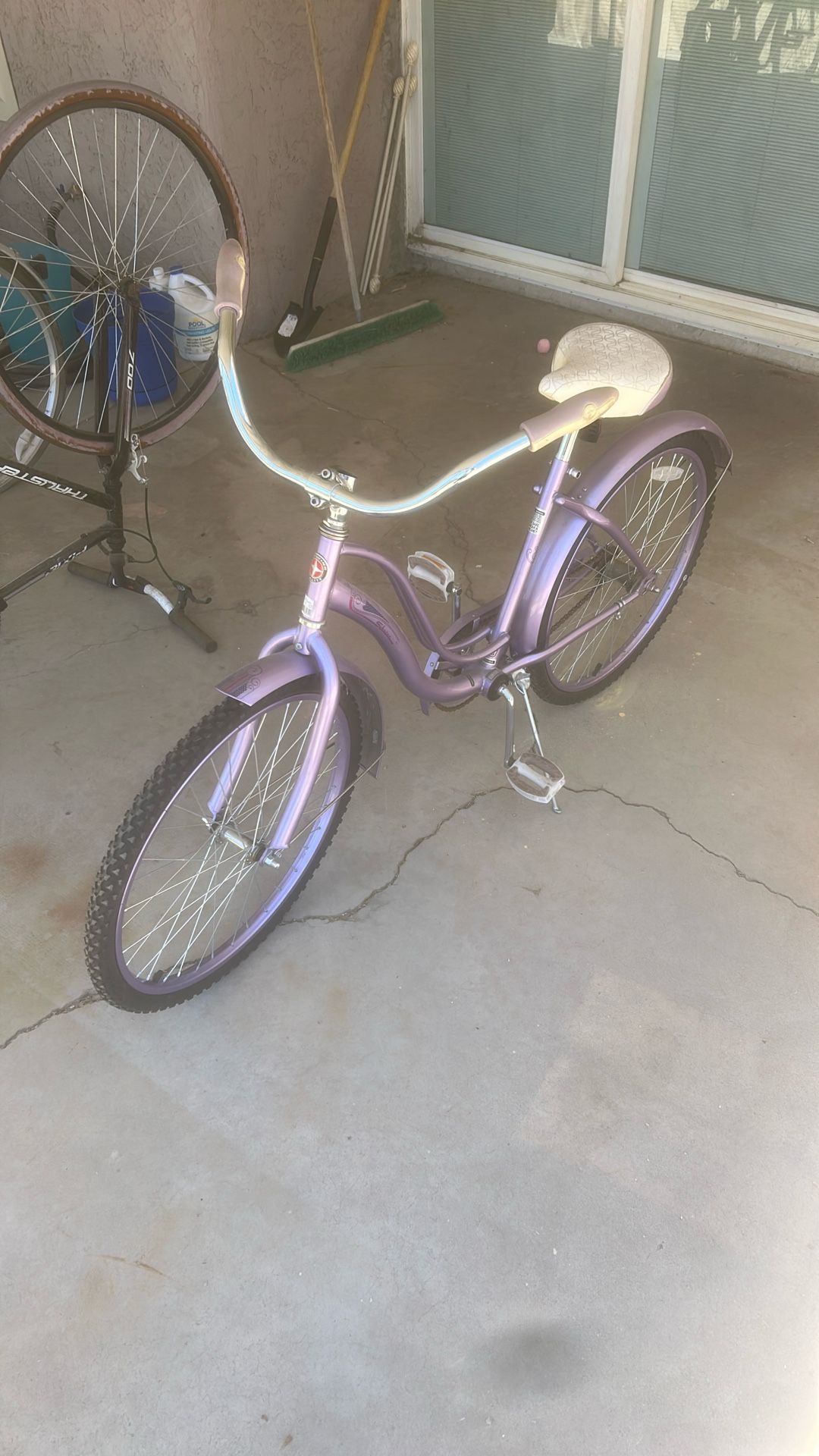 Schwinn Bicycle
