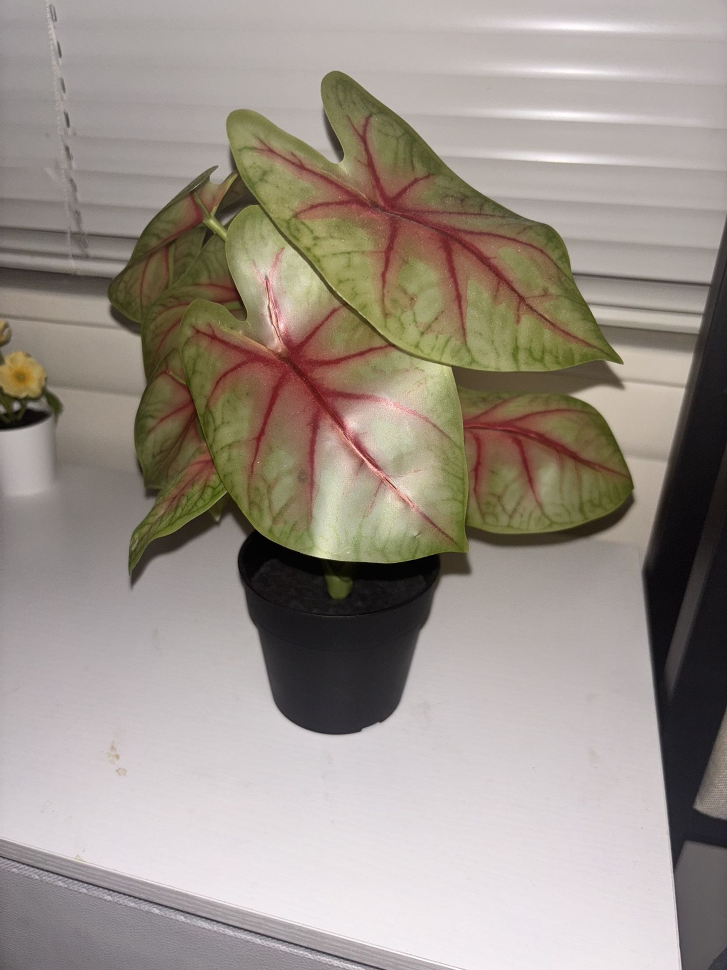 Fake Plant