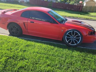 Rims right rim
