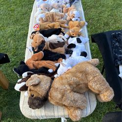 Beanie Babies, Large Medium And Small