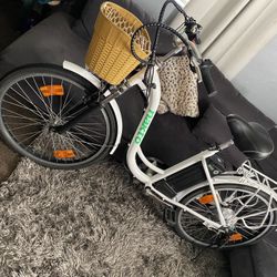 Electric Bike 