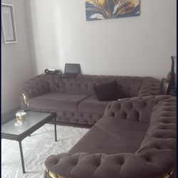 Luxury gray Couches