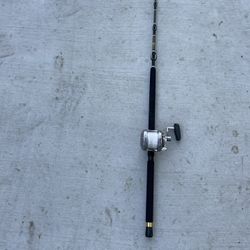 Avet Calstar Rod & Reel