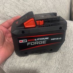 Milwaukee 12.0 Forge 