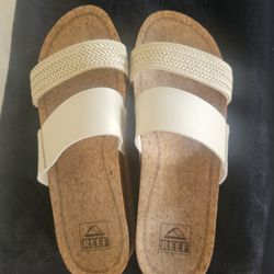 Reef's