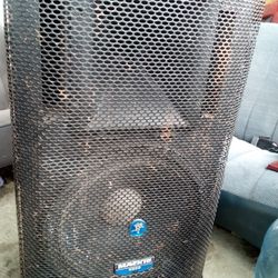 15" Stage Speaker 