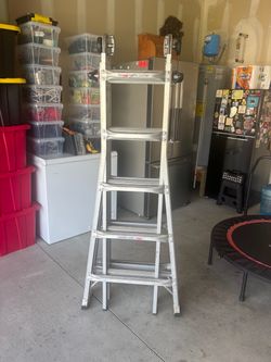 Gorilla Ladder