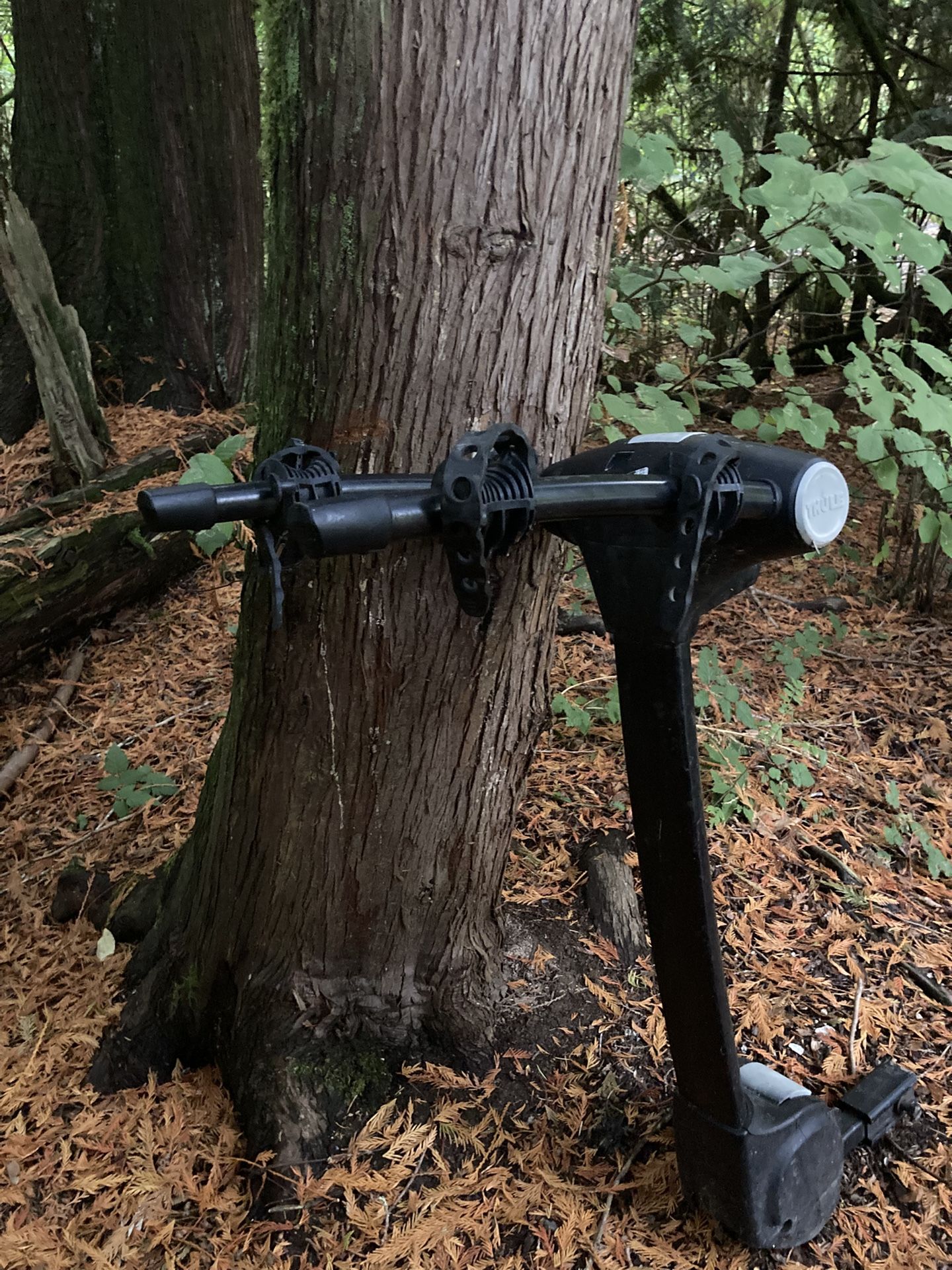 Thule 2-bicycle hitch mounted rack