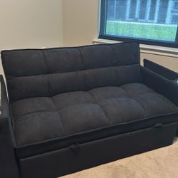 Sleeper sofa 