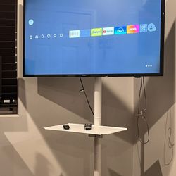 Samsung 48" TV With Rolling Stand
