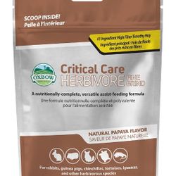 Guinea Pig Critical Care 