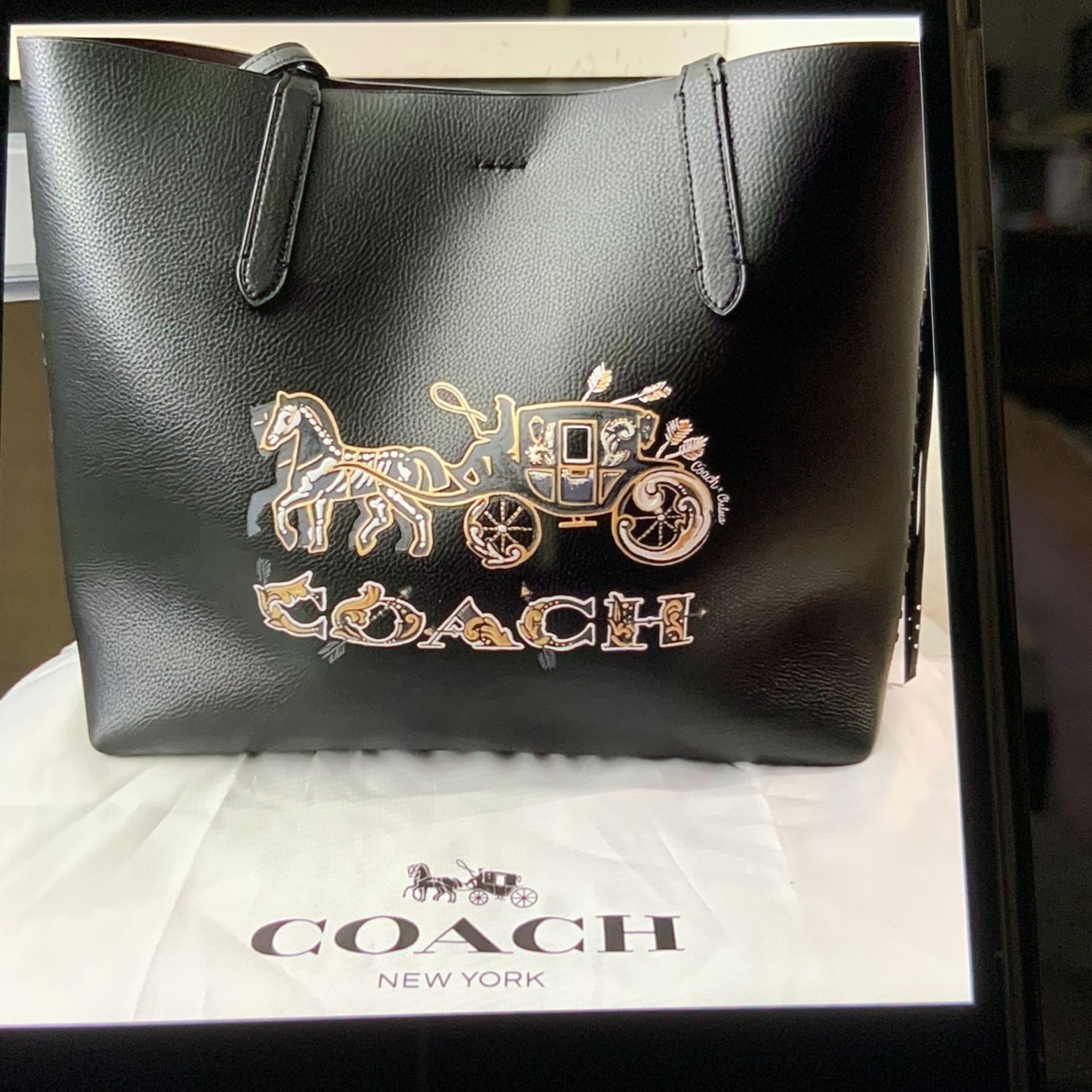 Coach Chelsea Champlain Animation Tote