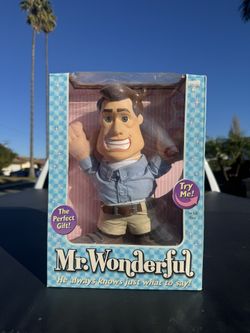 Mr Wonderful 