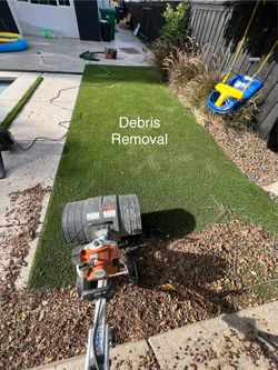 Turf Refresh / Turf Maintenance / Turf Cleaning