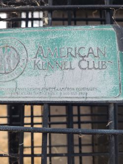 Kennel, 5' x 10'