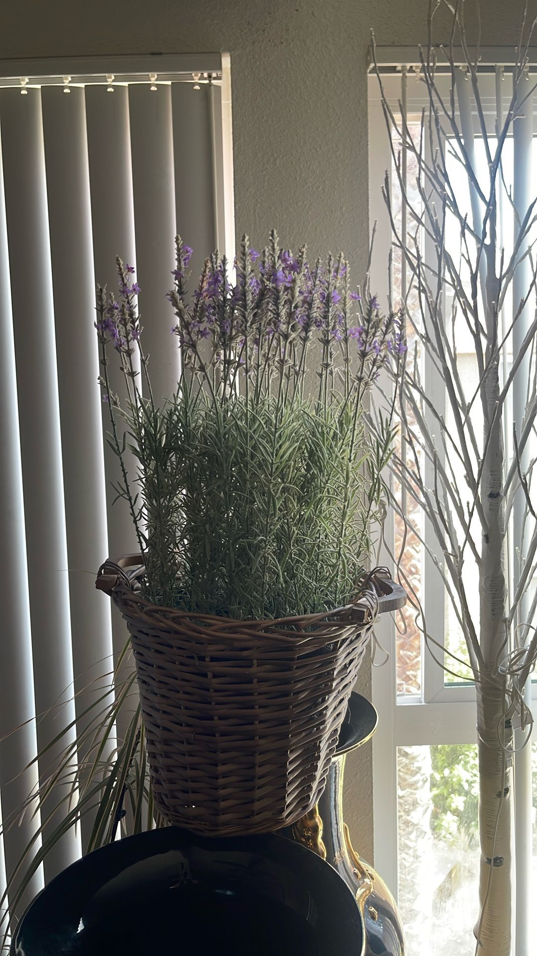 Flower Basket