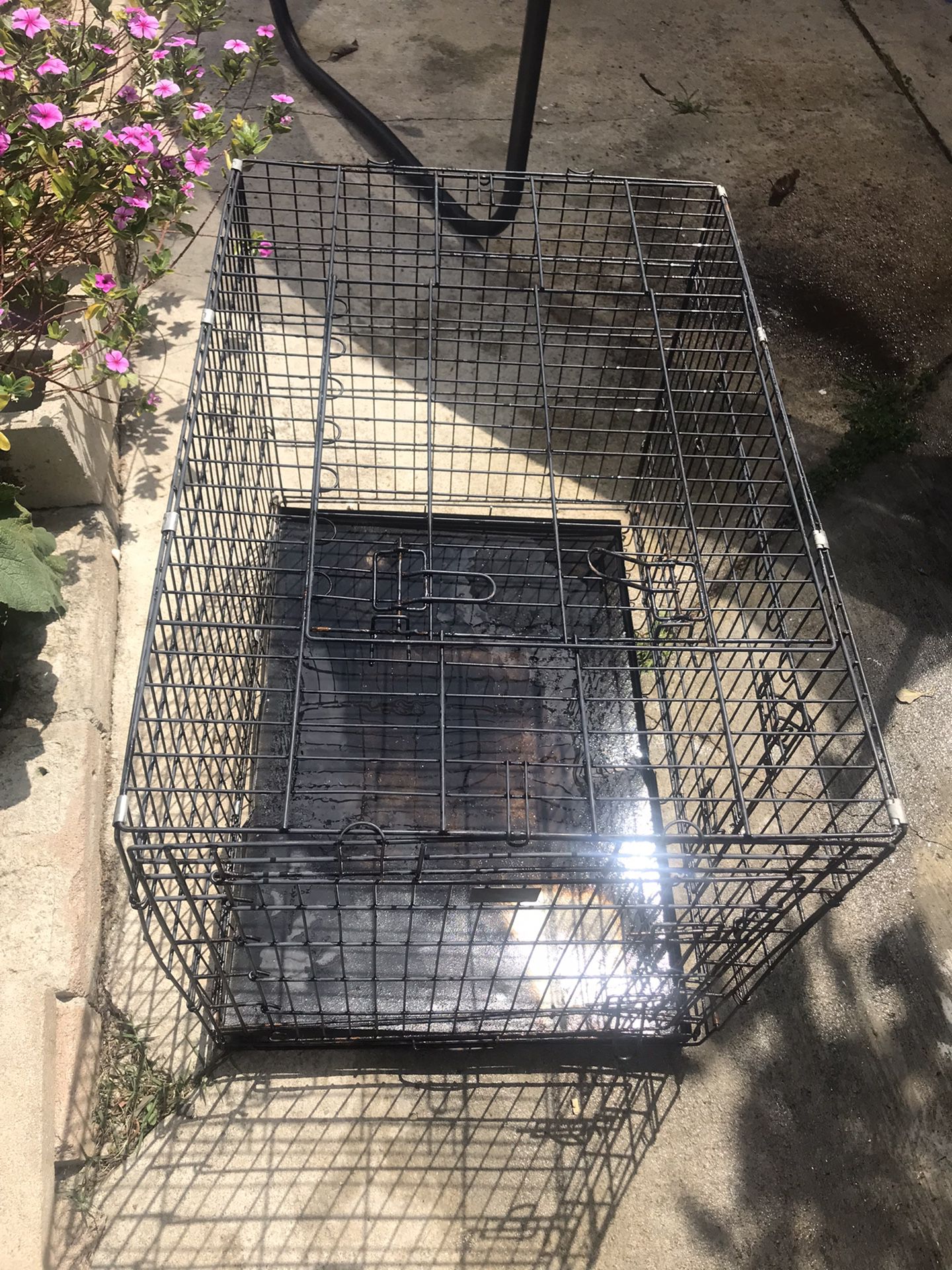 Pet Crate With Tray 