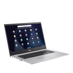 Asus- 17.3" Chrome book ÷backpack   $200$