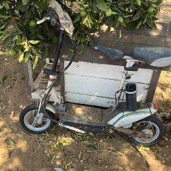 Electric Scooter 