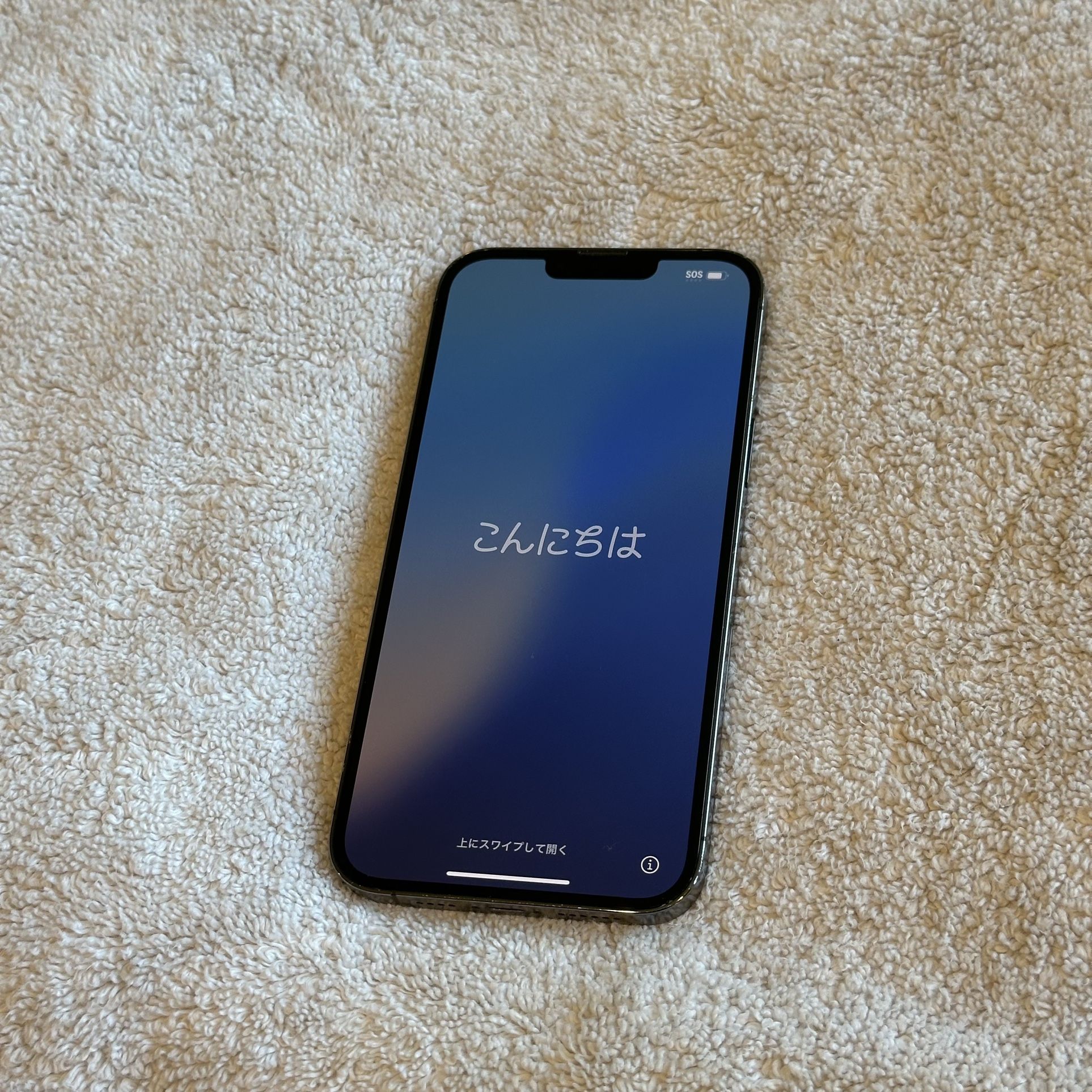 iPhone 13 Pro Max