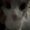 brianna