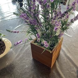 Decoration, Both Of Them $15 Just One Was 24