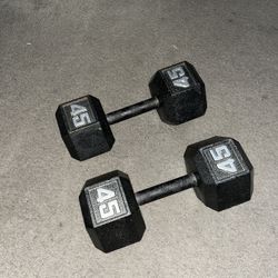 45 lb Dumbbells 