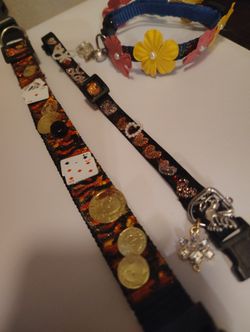 Pet Collars