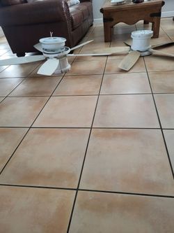 Ceiling fans