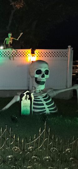 Skeleton