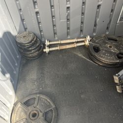 Barbell Weights Plus Weight Bar