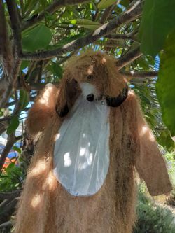 Dog Costume - Large Child