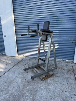 Life fitness vertical knee raise