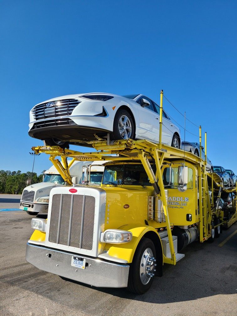 Are You In Need Of Vehicle Transport! Or Others?