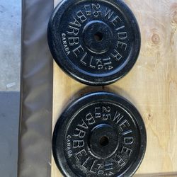 Weight Plates.            40 Dollars 