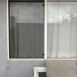 Window Screens 