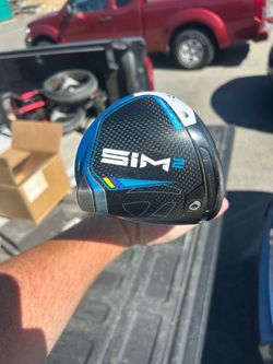 Sim2 Max Driver